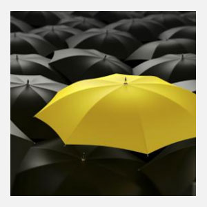 Insurance and Risk Management